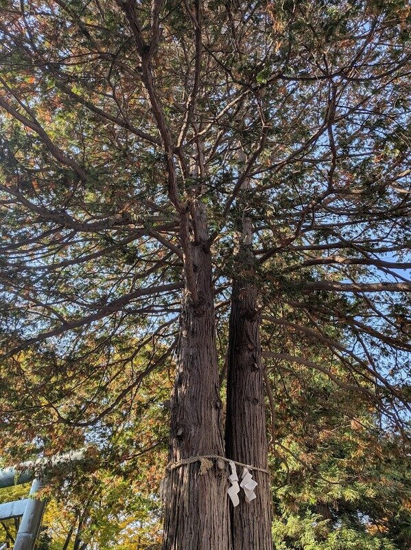 251106z4.jpg 北海道