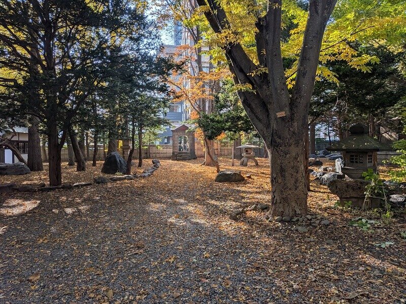 251106z5.jpg 北海道