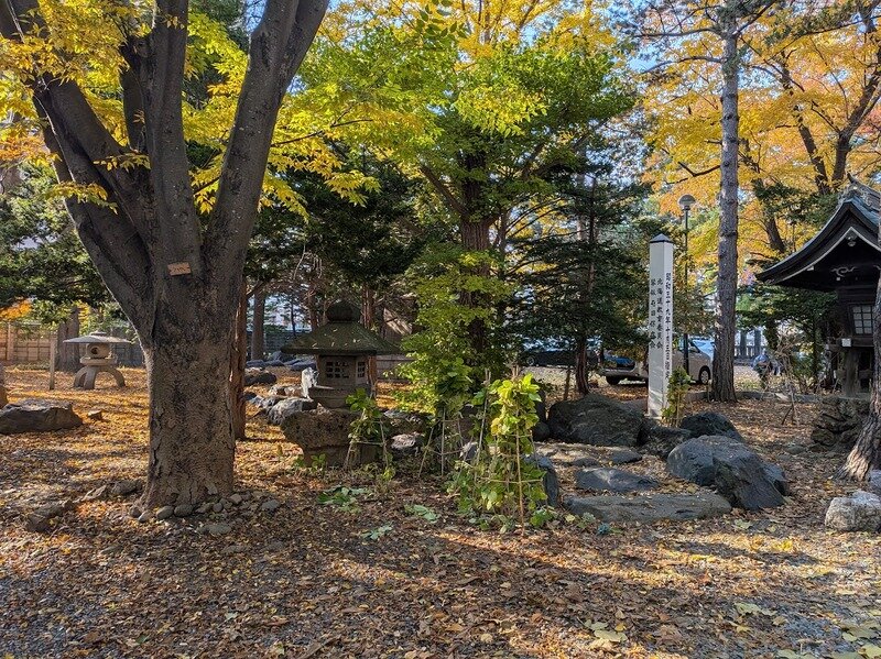 251106z6.jpg 北海道