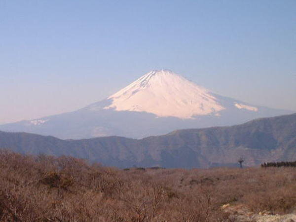 2003年2月 神奈川・静岡