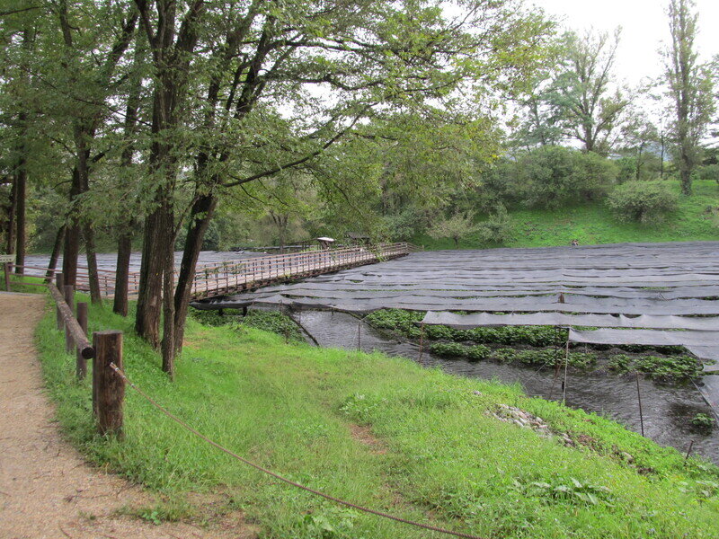 2015年9月 群馬・長野・山梨