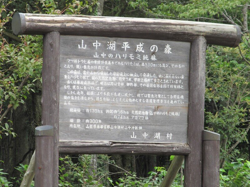 山梨15f247.jpg