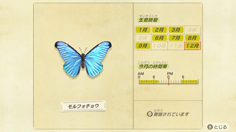 どうぶつの森12379.jpg