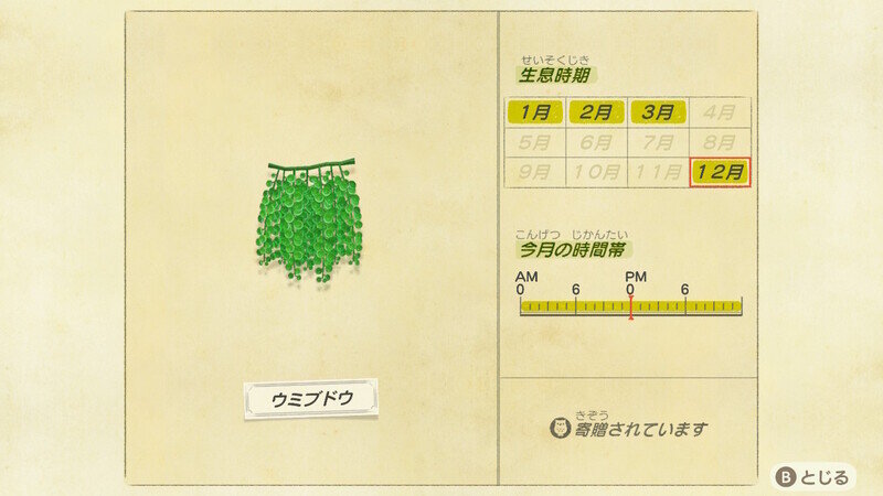 どうぶつの森12152.jpg