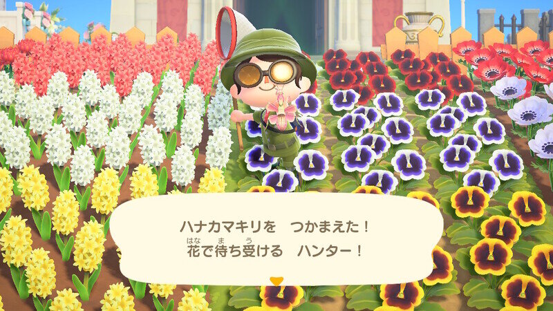 どうぶつの森2076.jpg