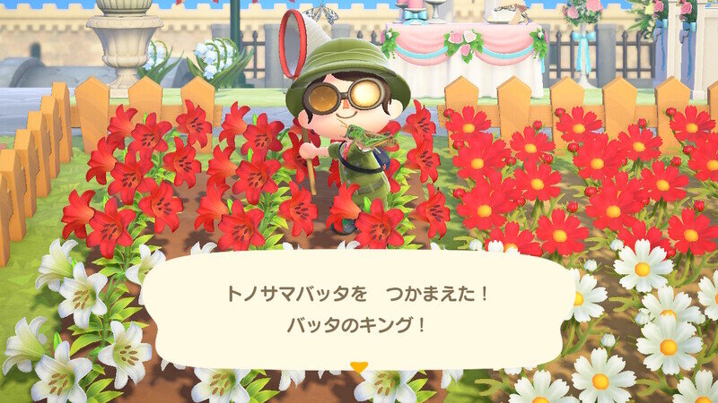 どうぶつの森2078.jpg