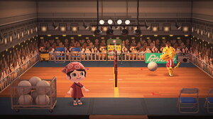 ヒョウタはまた運動会で目立ちたい！ 改築 #あつ森ハッピーホームパラダイス