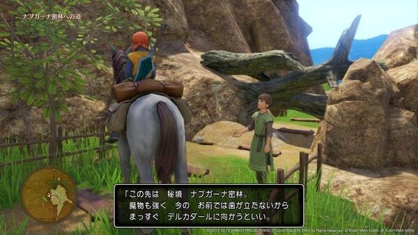 DQ11s Switch