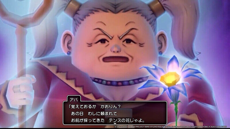 DQ10 オフライン