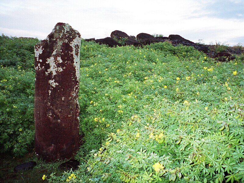 イースター島20026.jpg